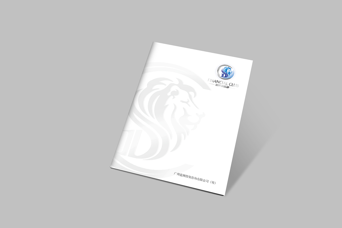 宣傳畫(huà)冊(cè)設(shè)計(jì)